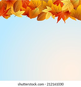 abstract autumn leaf with sky