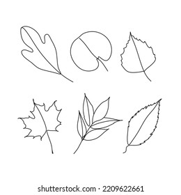 Abstract autumn leaves drawn by one line. Floral sketch. Composition of various leaves. Vector illustration in minimal style.