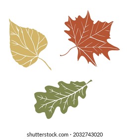 Abstract autumn leaves silhouette for concept design. Vector illustration design. Fall nature tree leaves. Nature background vector. Isolated white background.