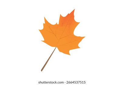 Hoja de arce de otoño Abstractas sobre un fondo blanco.