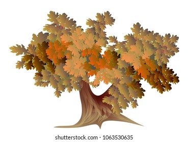 abstract autumn oak tree isolated on white background