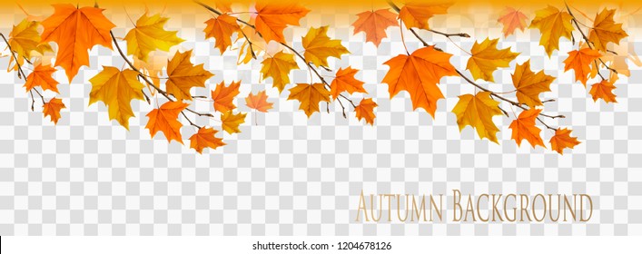 Abstract Autumn Panorama With Colorful Leaves On Transparent Background Vector