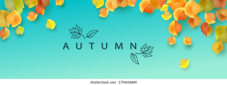 Abstract autumn panorama with colorful leaves. Website header, banner, poster