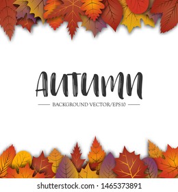 An abstract Autumn theme artistic background . Autumn leaves on white paper.