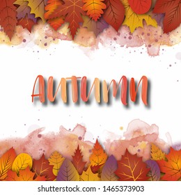 An abstract Autumn theme artistic background . Autumn leaves on white paper.