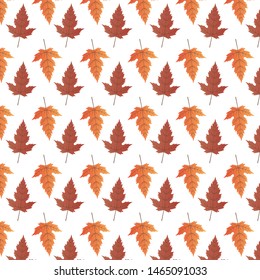 An abstract Autumn theme artistic bright yellow background texture. leaves paint on white paper.