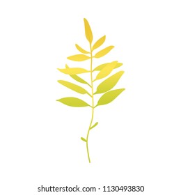 Abstract autumn yellow plant flower icon. Meadow, garden romantic wedding invitation card, autumnal seasonal holiday, harvest decoration element. Floral vector illustration isolated
