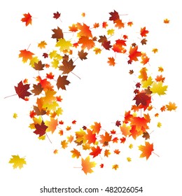 Abstract autumnal background with flying maple leaves. Fall season greeting card, poster, flyer. Vector illustration isolated on a white background.