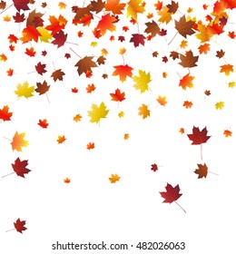 Abstract autumnal background with flying maple leaves. Fall season greeting card, poster, flyer. Vector illustration isolated on a white background.