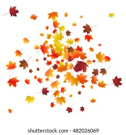 Abstract autumnal background with flying maple leaves. Fall season greeting card, poster, flyer. Vector illustration isolated on a white background.