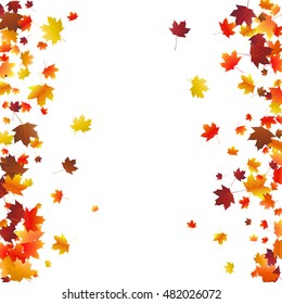 Abstract autumnal background with flying maple leaves. Fall season greeting card, poster, flyer. Vector illustration isolated on a white background.