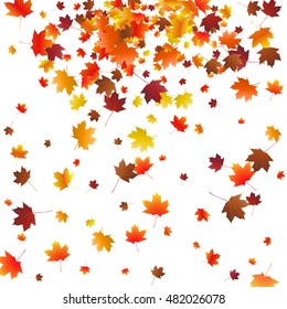 Abstract autumnal background with flying maple leaves. Fall season greeting card, poster, flyer. Vector illustration isolated on a white background.