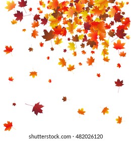 Abstract autumnal background with flying maple leaves. Fall season greeting card, poster, flyer. Vector illustration isolated on a white background.