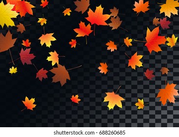 Abstract autumnal background with flying maple leaves. Fall season greeting card, poster, flyer. Vector illustration transparent background.