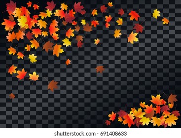Abstract autumnal background with flying maple leaves. Fall season greeting card, poster, flyer. Vector illustration transparent background.