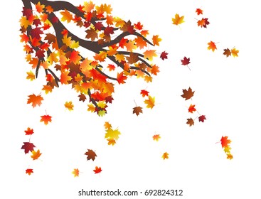 Abstract autumnal background with flying maple leaves. Fall season greeting card, poster, flyer. Vector illustration isolated on a white background.