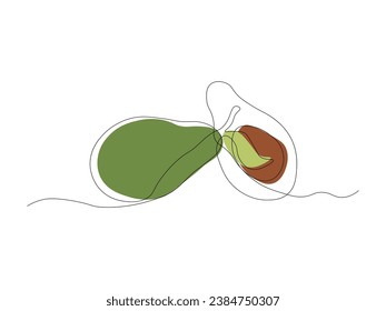 Abstract avocado continuous one line art drawing
