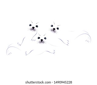 Abstract Baby seal pups on white background