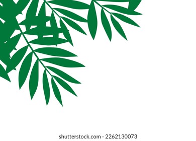Abstract backdrop pattern of green leaves above and below empty.
Natural background and copy space.