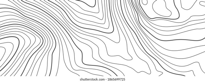 Abstract backgroubd.The stylized height of the topographic contour in lines and contours. Concept of a conditional geography scheme and the terrain path. Gray on white. Ultra wide. Vector illustration