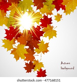Abstract background with autumn colorful leaves.