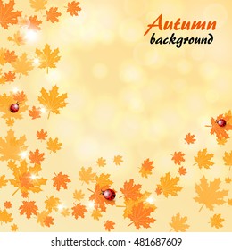 Abstract background with autumn landscape and ladybug