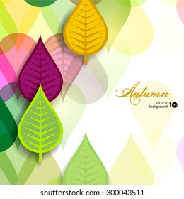 Abstract background with autumn leaves. Vector eps 10.