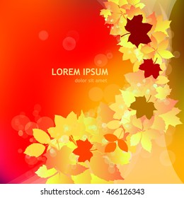 abstract background with autumn leaves. Vector
