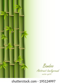 Abstract background, bamboo