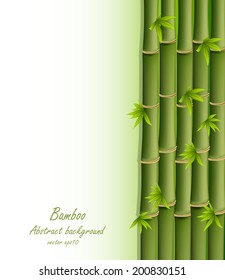 Abstract background, bamboo