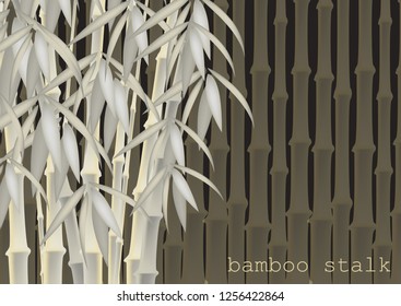 Abstract background of bamboo trees. Bamboo stalks. Vector illustration of tropical plants for your design.