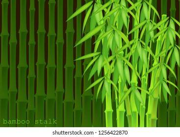 Abstract background of bamboo trees. Bamboo stalks. Vector illustration of tropical plants for your design.