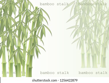 Abstract background of bamboo trees. Bamboo stalks. Vector illustration of tropical plants for your design.