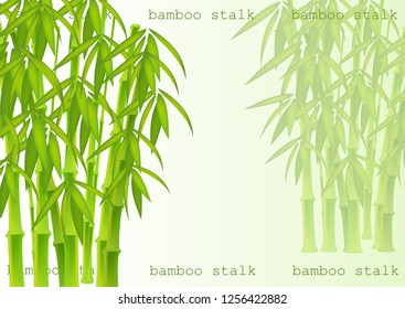 Abstract background of bamboo trees. Bamboo stalks. Vector illustration of tropical plants for your design.