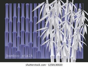 Abstract background of bamboo trees. Bamboo stalks. Vector illustration of tropical plants for your design.