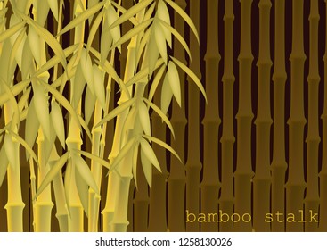 Abstract background of bamboo trees. Bamboo stalks. Vector illustration of tropical plants for your design.