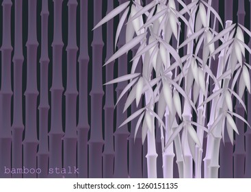 Abstract background of bamboo trees. Bamboo stalks. Vector illustration of tropical plants for your design.