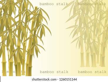 Abstract background of bamboo trees. Bamboo stalks. Vector illustration of tropical plants for your design.