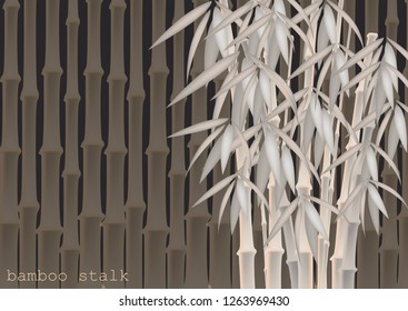 Abstract background of bamboo trees. Bamboo stalks. Vector illustration of tropical plants for your design.