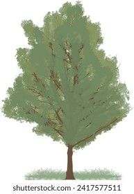 Abstrakt, Hintergrund, schön, blau, Ast, Karte, Weihnachten, Nadelbäume, Dekoration, Design, Zeichnung, gezeichnet, Ökologie, Element, Umwelt, immergrün, Tanne, Nebel, Nebel, Foggy, Wald, Garten, Grab