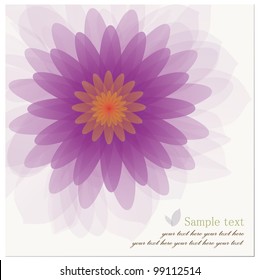Abstract background of Beautiful Lotus Flower. Vector illustration.