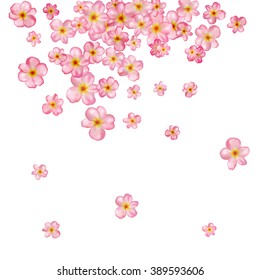 Abstract background with beautiful pink cherry blossom. Vector illustration isolated on a white background.