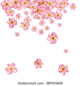 Abstract background with beautiful pink cherry blossom. Vector illustration isolated on a white background.