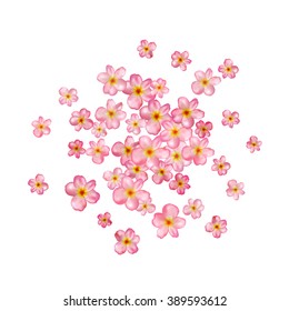 Abstract background with beautiful pink cherry blossom. Vector illustration isolated on a white background.