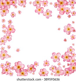 Abstract background with beautiful pink cherry blossom. Vector illustration isolated on a white background.