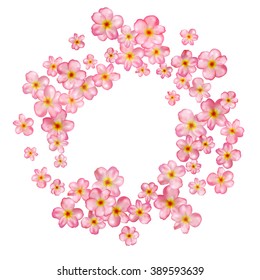 Abstract background with beautiful pink cherry blossom. Vector illustration isolated on a white background.