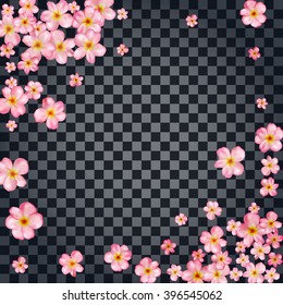 Abstract background with beautiful pink cherry blossom. Vector illustration isolated on a transparent background.