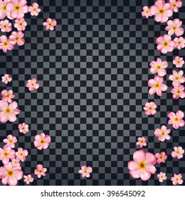 Abstract background with beautiful pink cherry blossom. Vector illustration isolated on a transparent background.