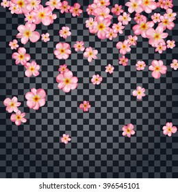 Abstract background with beautiful pink cherry blossom. Vector illustration isolated on a transparent background.