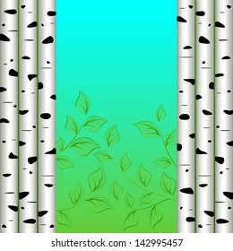 Abstract background. Birch trees on the sides. In the center of a branch with leaves against the sky.
